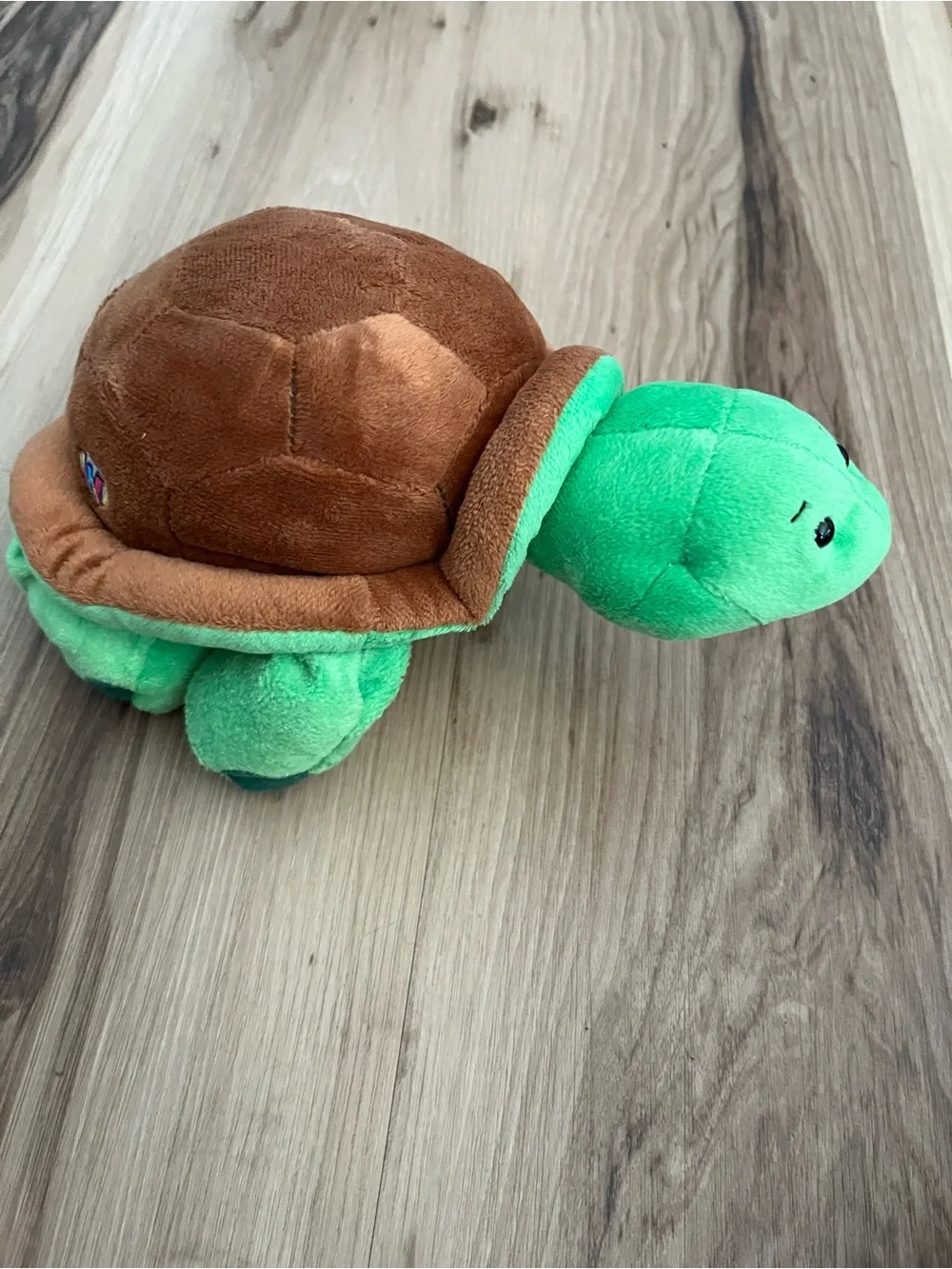 Ganz Webkinz